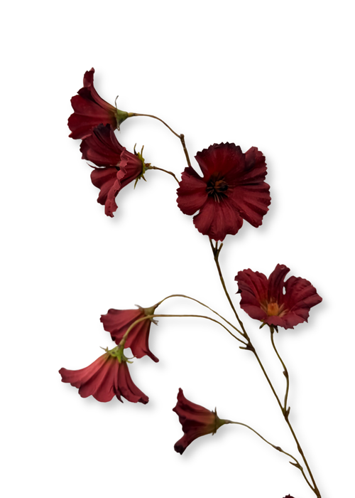 Kunstbloementak bordeauxrood