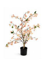 Bloesem Boompje Roze – 90 cm