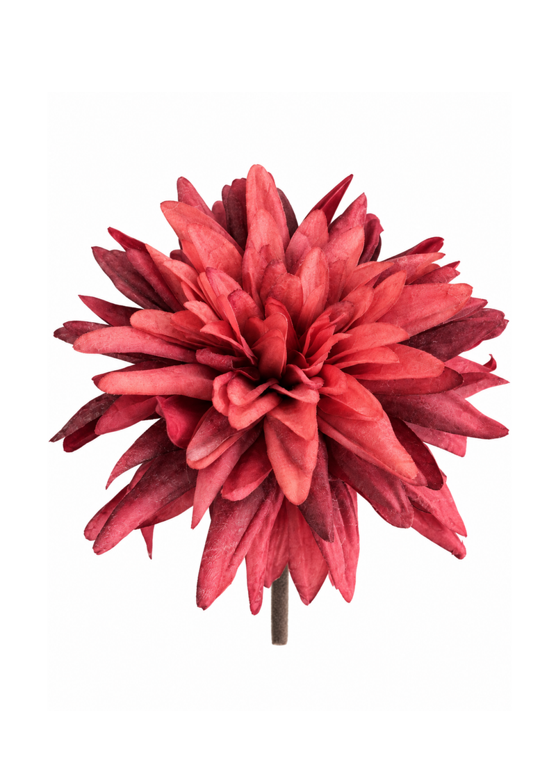 Kunsttak dahlia burgundy/roze – 50 cm