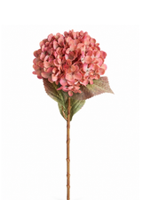 Roze kunsthortensia