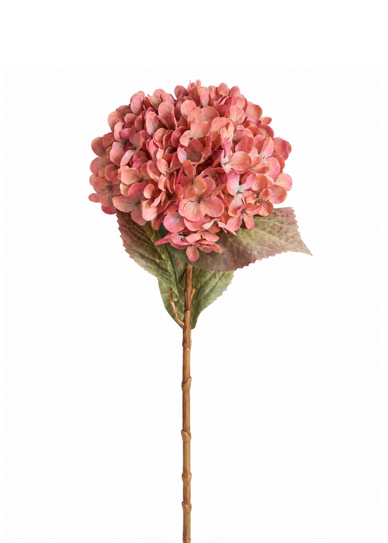Roze kunsthortensia