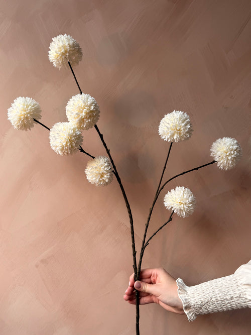 Pompom tak
