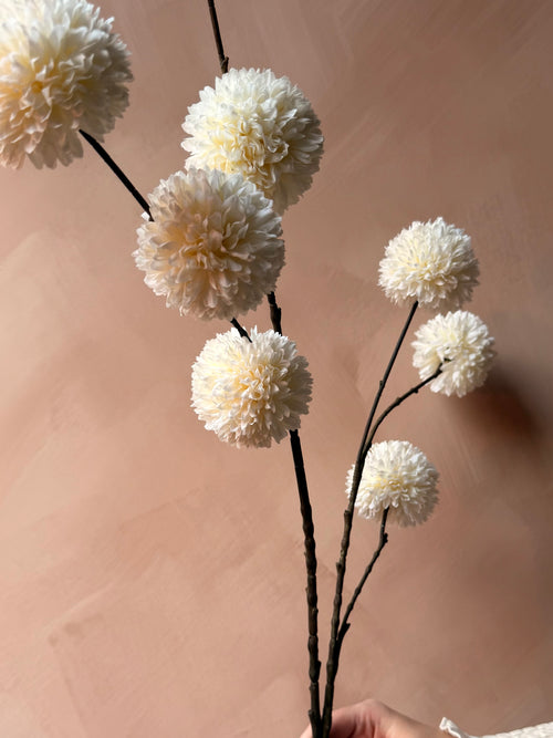 Pompom tak